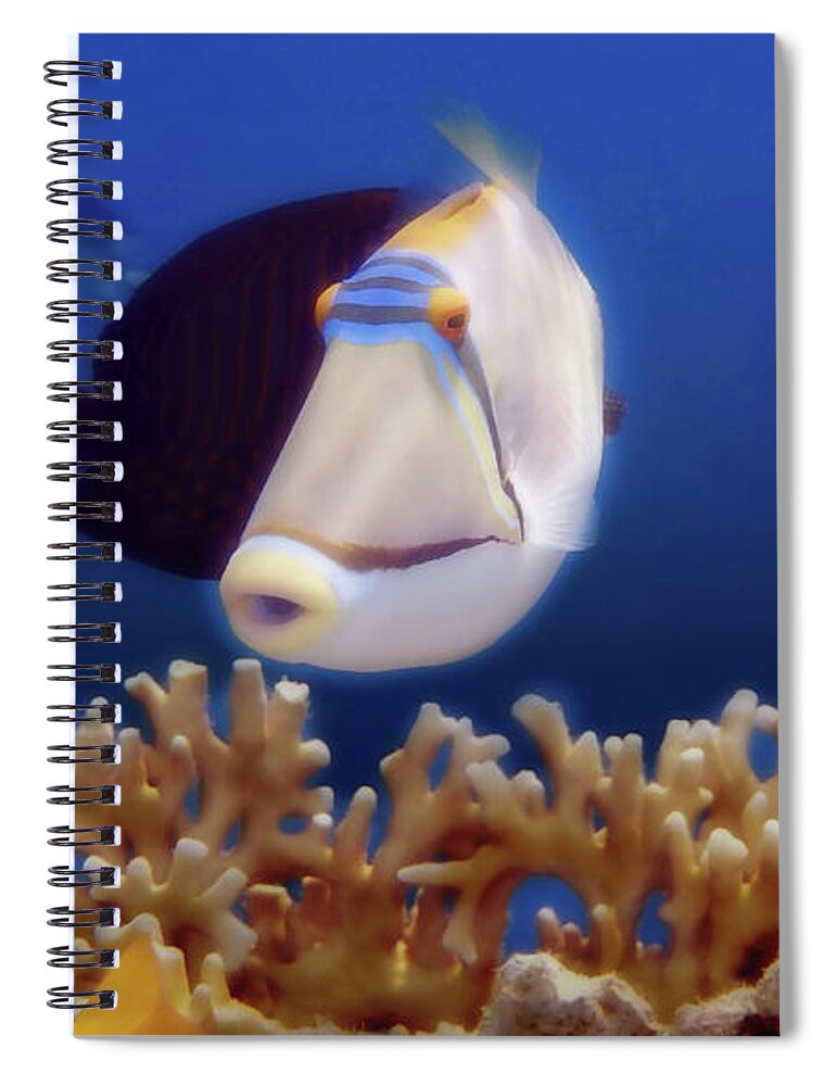 Fish Spiral Notebook featuring the photograph Meeting The Picasso Fish by Johanna Hurmerinta