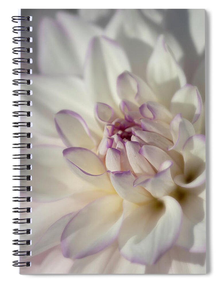 Oregon Spiral Notebook featuring the photograph Mikayla Miranda Dahlia 6517 by TL Wilson Photography by Teresa Wilson