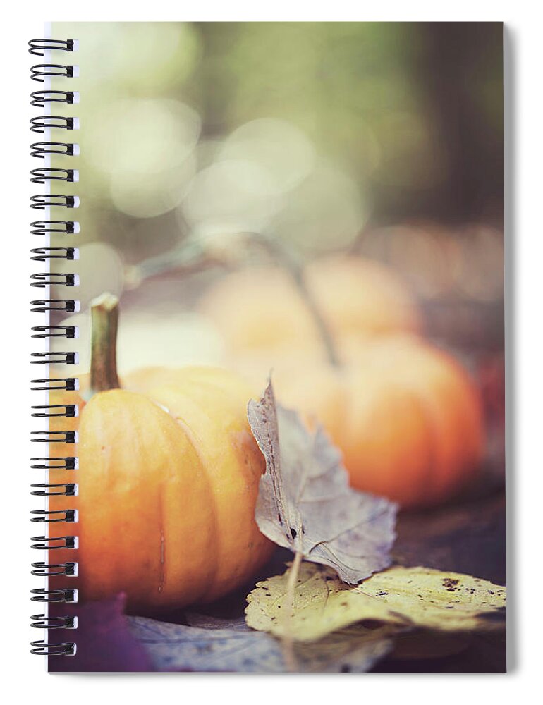 Woodbridge Spiral Notebook featuring the photograph Mini Pumpkins With Leaves by Samantha Wesselhoft Photography
