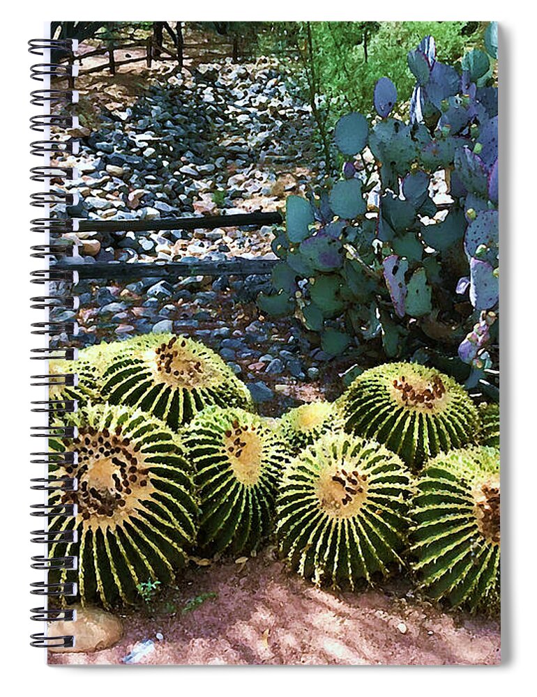 Miraval-arizona Spiral Notebook featuring the photograph Miraval Cactus by Tom Johnson
