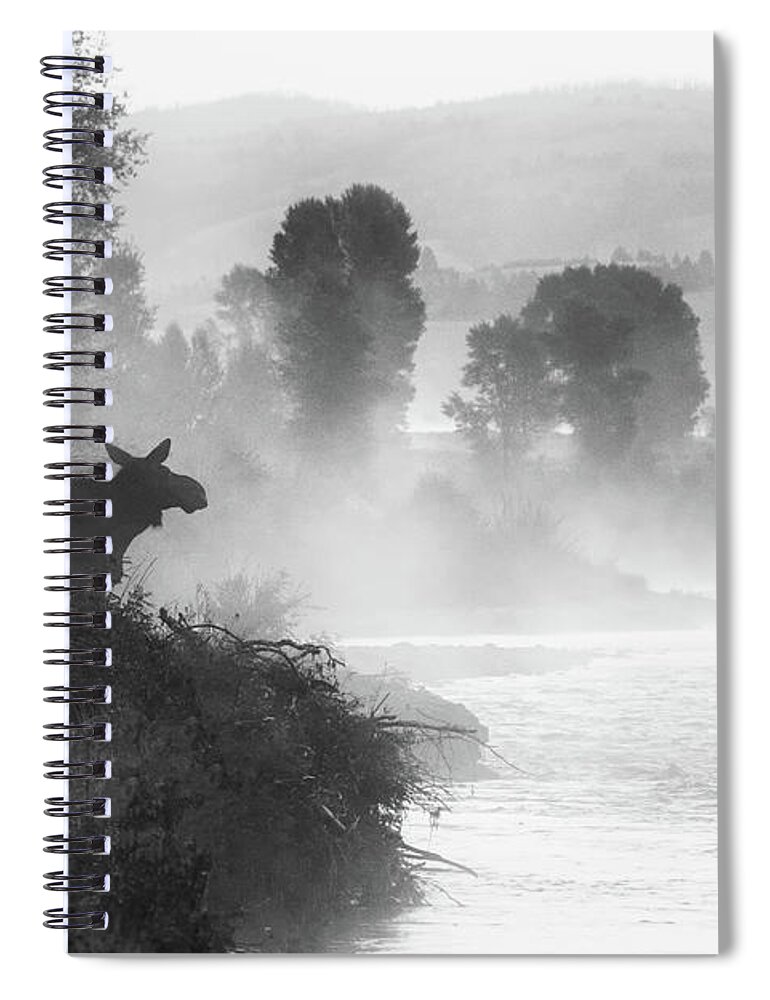 Moose Spiral Notebook featuring the photograph Misty Morning Moose by Mary Hone