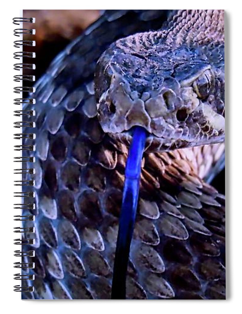 Affordable Spiral Notebook featuring the photograph Mojave by Judy Kennedy