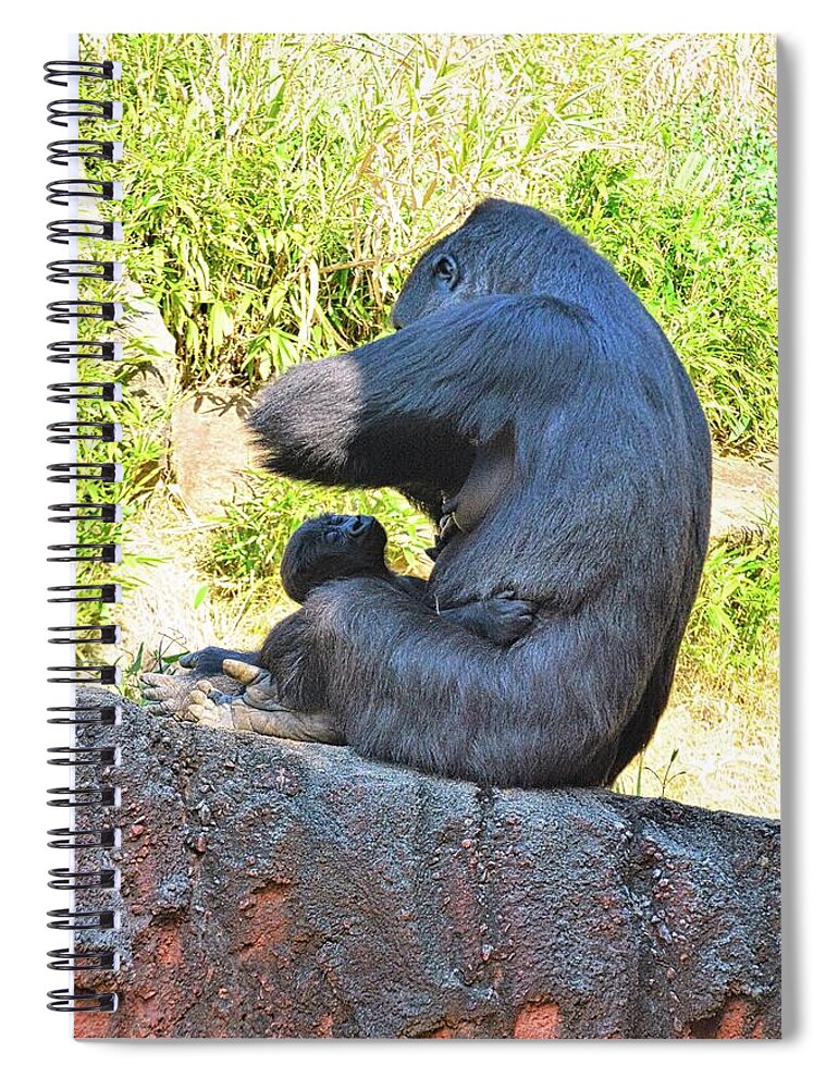Momma Gorilla With Her Baby Spiral Notebook featuring the photograph Momma Gorilla With Her Baby by Lisa Wooten