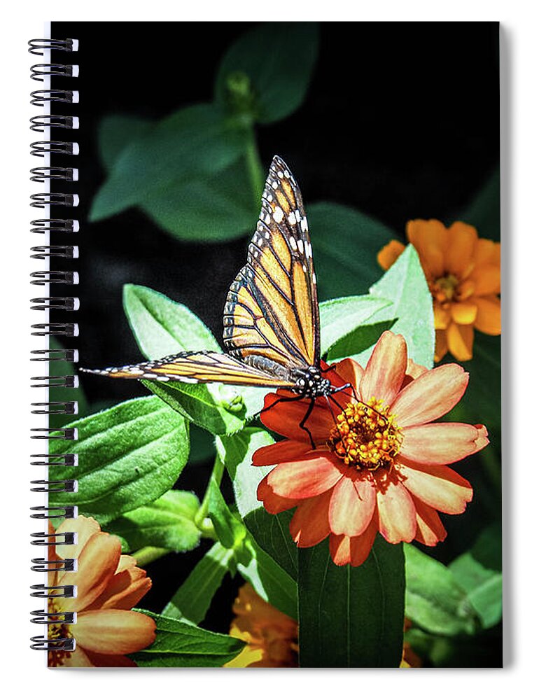 Flower Spiral Notebook featuring the photograph Monarch I by Gina Matarazzo