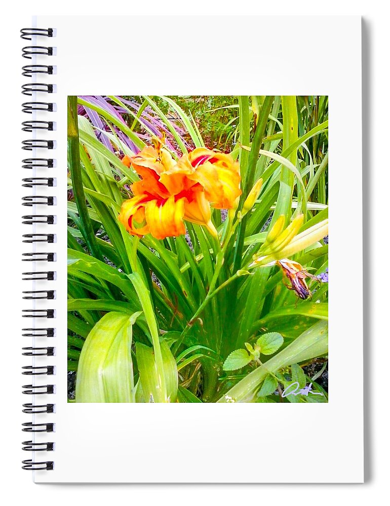 Wall Art Spiral Notebook featuring the photograph Monarch of the garden by Cepiatone Fine Art Callie E Austin