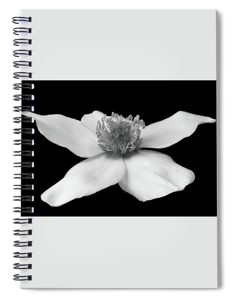 Helleborus Spiral Notebook featuring the photograph Monochrome Helleborus by Terence Davis