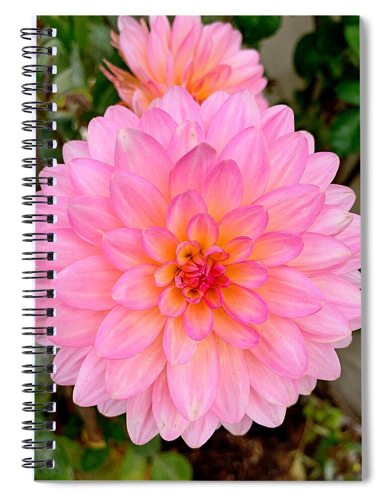 Monterey Spiral Notebook featuring the photograph Monterey Floral Study 9 by Robert Meyers-Lussier