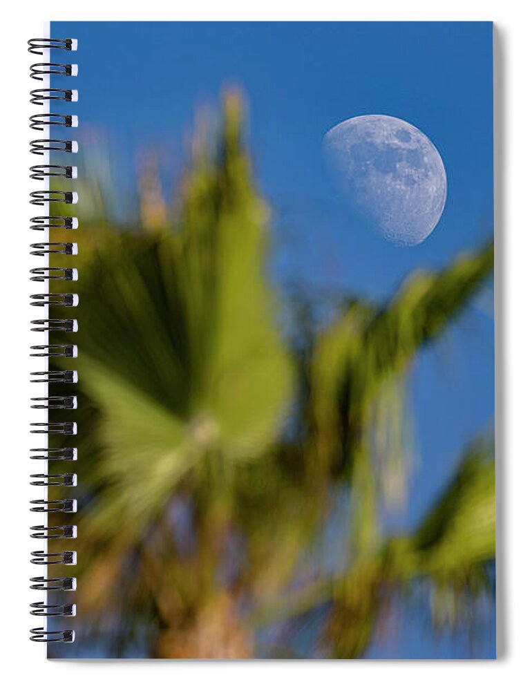 Photography Spiral Notebook featuring the photograph Moon Over Palm Tree by Daniel Knighton
