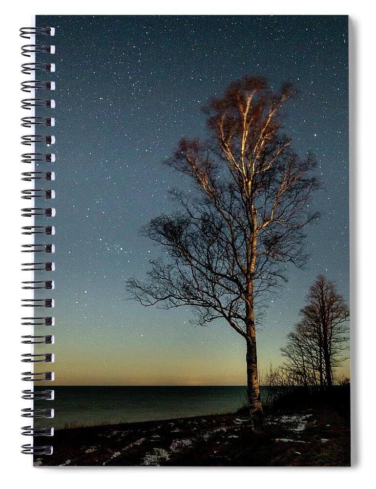 Tree Spiral Notebook featuring the photograph Moonlit Tree by Rod Best