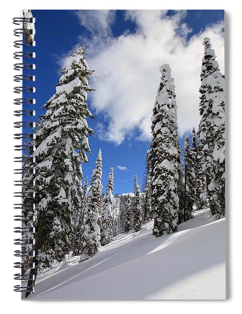 Rocky Mountains Spiral Notebook featuring the photograph Mores Creek Summit Record Snow Fall by Ed Riche