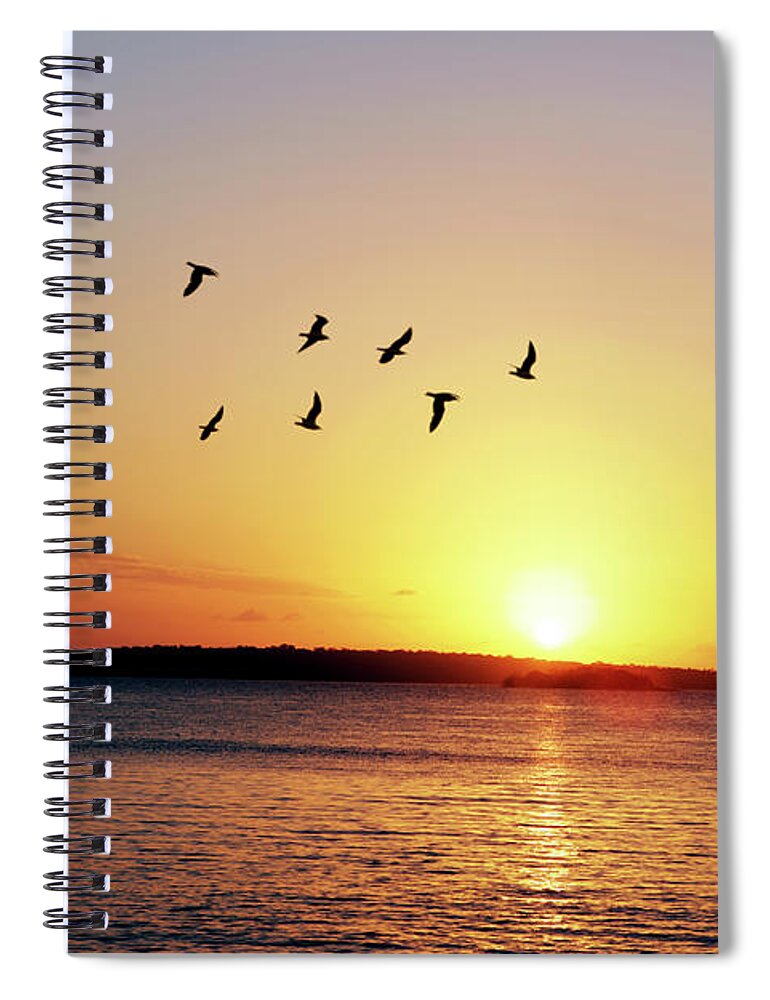 Scenics Spiral Notebook featuring the photograph Morning Flight by Hidesy