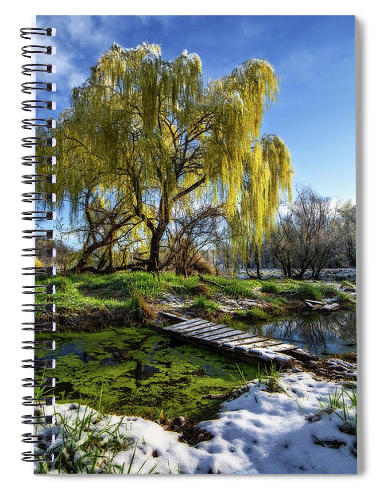 Pond Spring Green Yellow Willows Leafing Snow Sunrise Frost Bridge Stoughton Wi Wisconsin Ethereal Tranquil Scenic Nature Natural Forest Grass Duckweed Cold Melting Spiral Notebook featuring the photograph Morning has Broken #1 - tranquil spring pond scene at sunrise after snowfall by Peter Herman