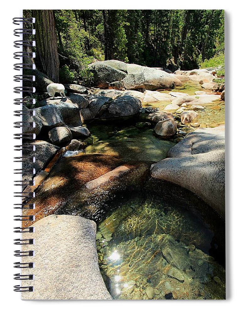 Sekani Spiral Notebook featuring the photograph Morning Light Flow by Sean Sarsfield