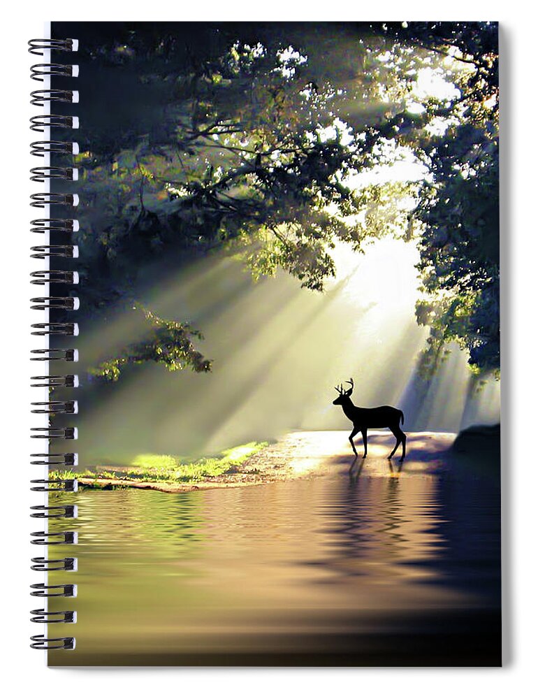 2d Spiral Notebook featuring the photograph Morning Light Silhouette by Brian Wallace