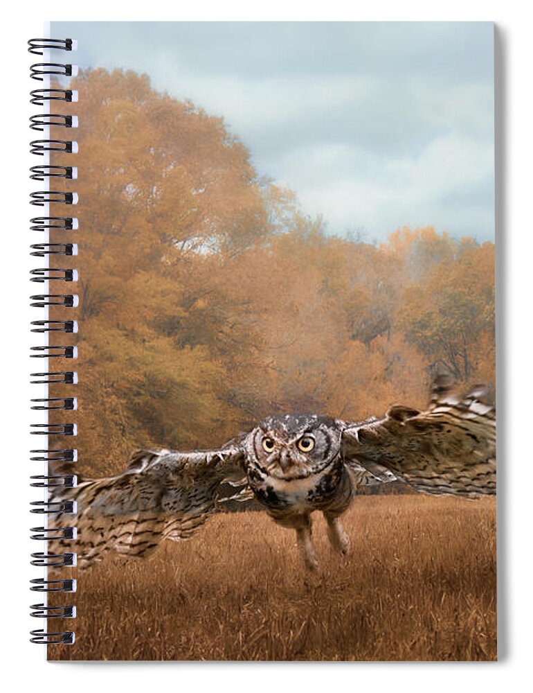 Jai Johnson Spiral Notebook featuring the photograph Morning Mouse Hunting by Jai Johnson
