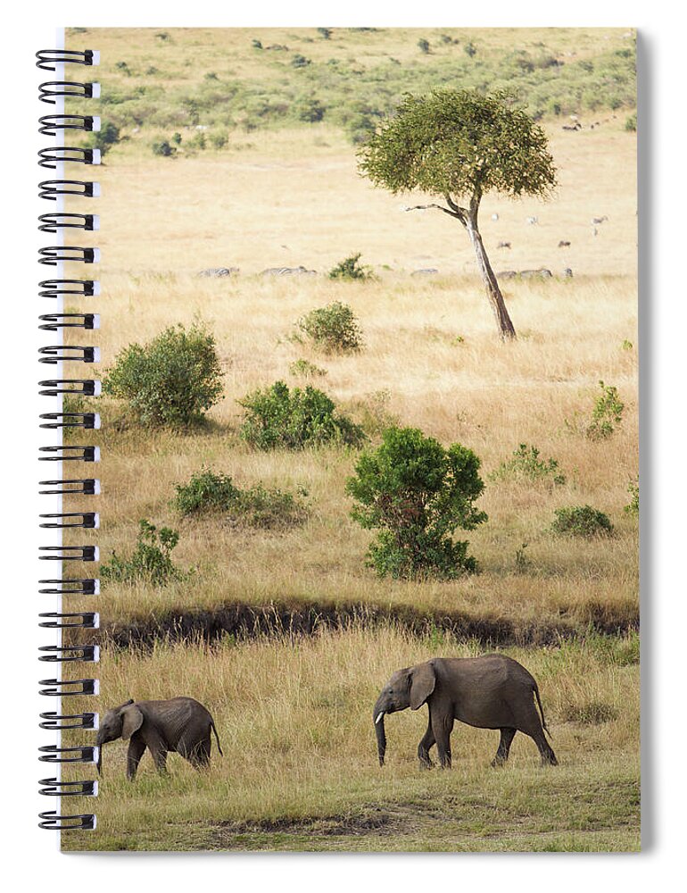 Kenya Spiral Notebook featuring the photograph Mother And Baby Elephant In Savanna by Universal Stopping Point Photography