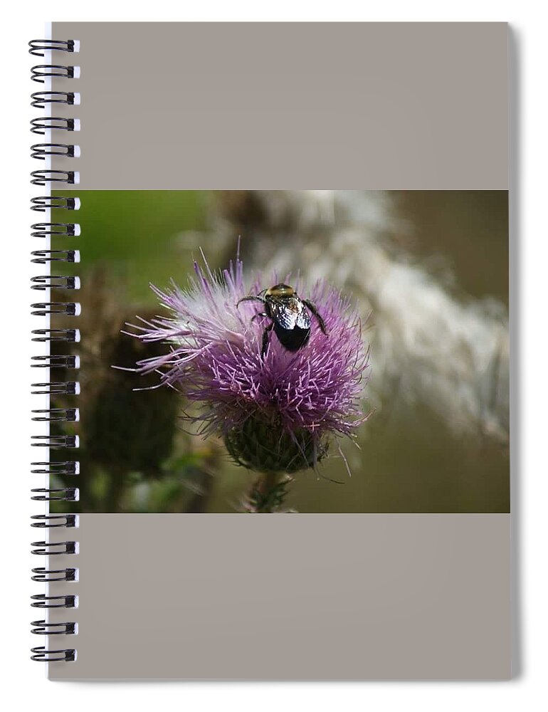 Florida Spiral Notebook featuring the photograph Mother Nature by Lindsey Floyd