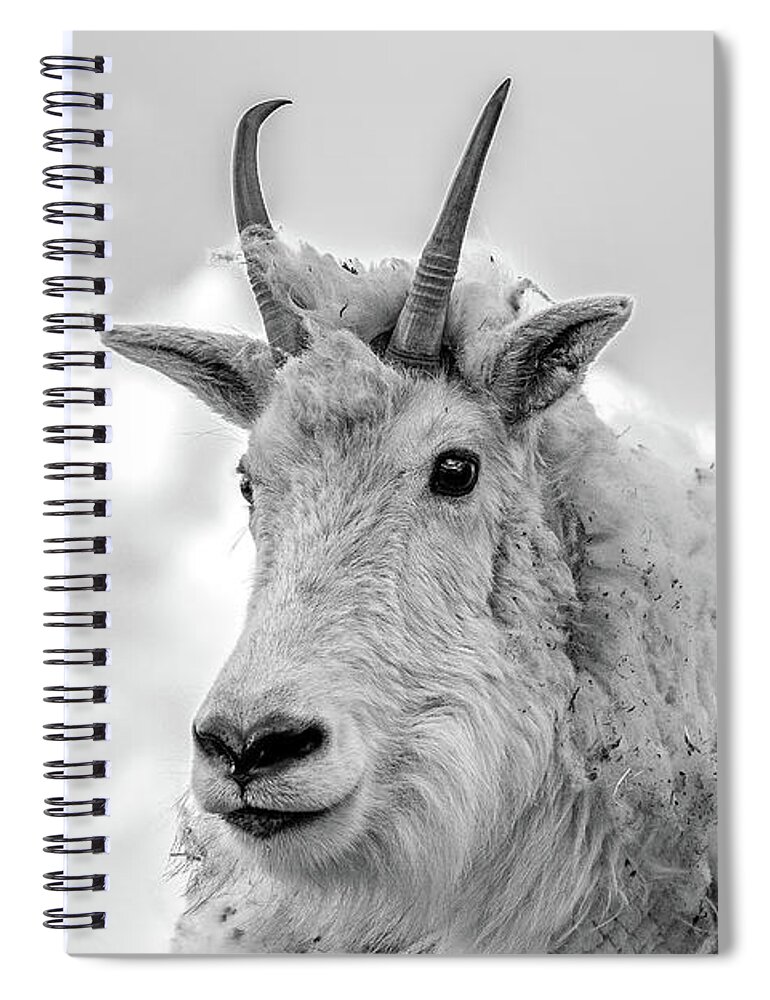 Mountain Goat Spiral Notebook featuring the photograph Mountain Goat in Black and White by Mindy Musick King