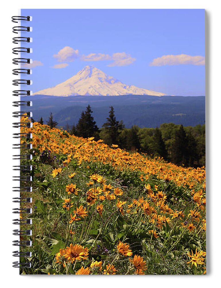 Oak Tree Spiral Notebook featuring the photograph Mt. Hood, Rowena Crest by Jeanette French