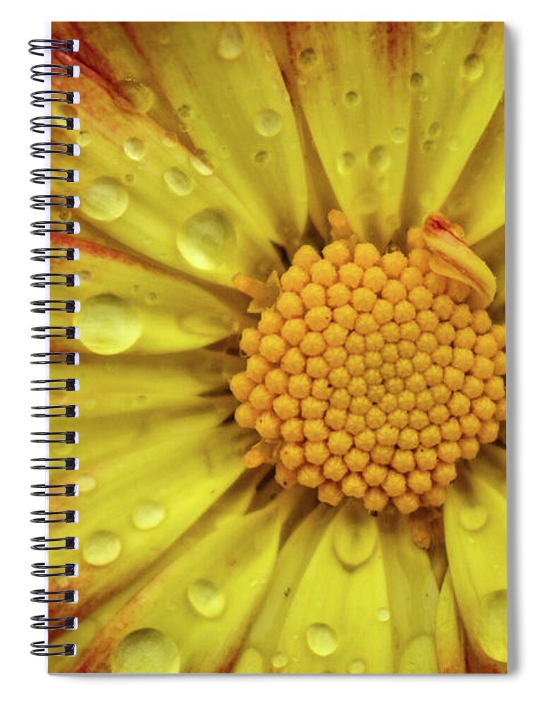 Flower Spiral Notebook featuring the photograph Mum by Michelle Wittensoldner