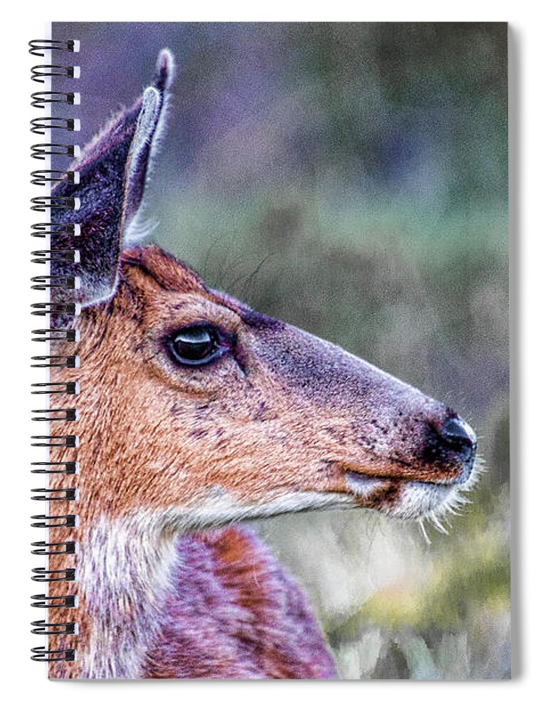 2015 Spiral Notebook featuring the photograph My Good Side by Tim Kathka