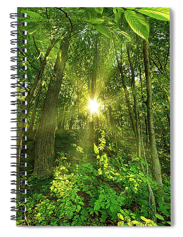Life Spiral Notebook featuring the photograph My Secret Place by Phil Koch