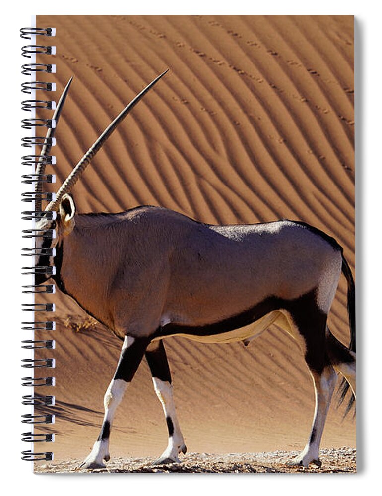 00641520 Spiral Notebook featuring the photograph Namib Desert Dune And Oryx by Hiroya Minakuchi