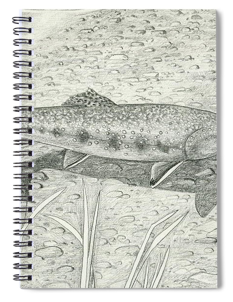 Fish Spiral Notebook featuring the photograph Native Brook Trout by Harry Moulton