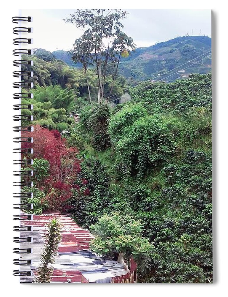  Spiral Notebook featuring the photograph native trees in Guayabal ville, Chinchina, Colombia by Nestor Cardona Cardona