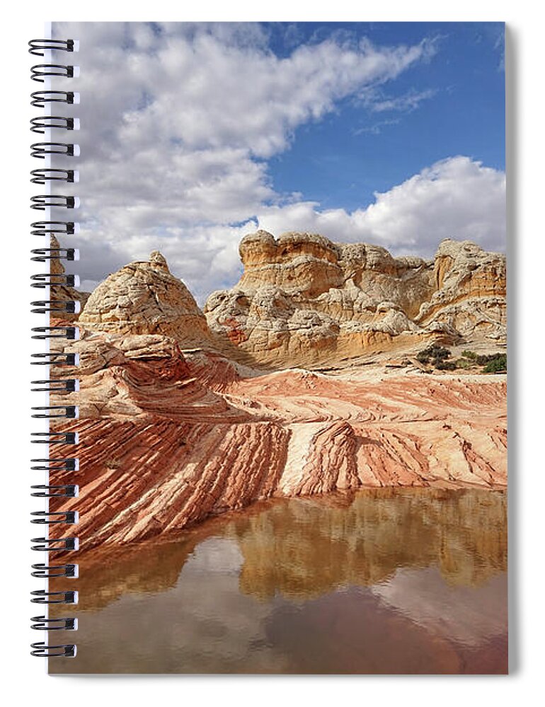 White Pocket Spiral Notebook featuring the photograph Natural Architecture by Leda Robertson