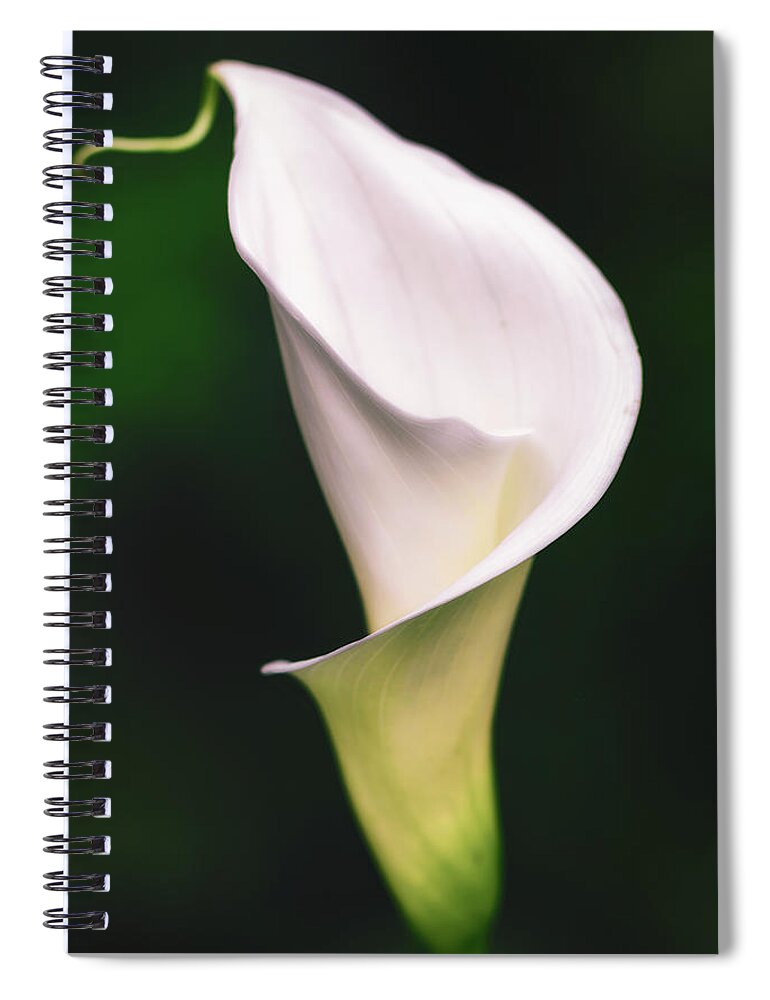 California Spiral Notebook featuring the photograph Natural Grace by Laura Roberts