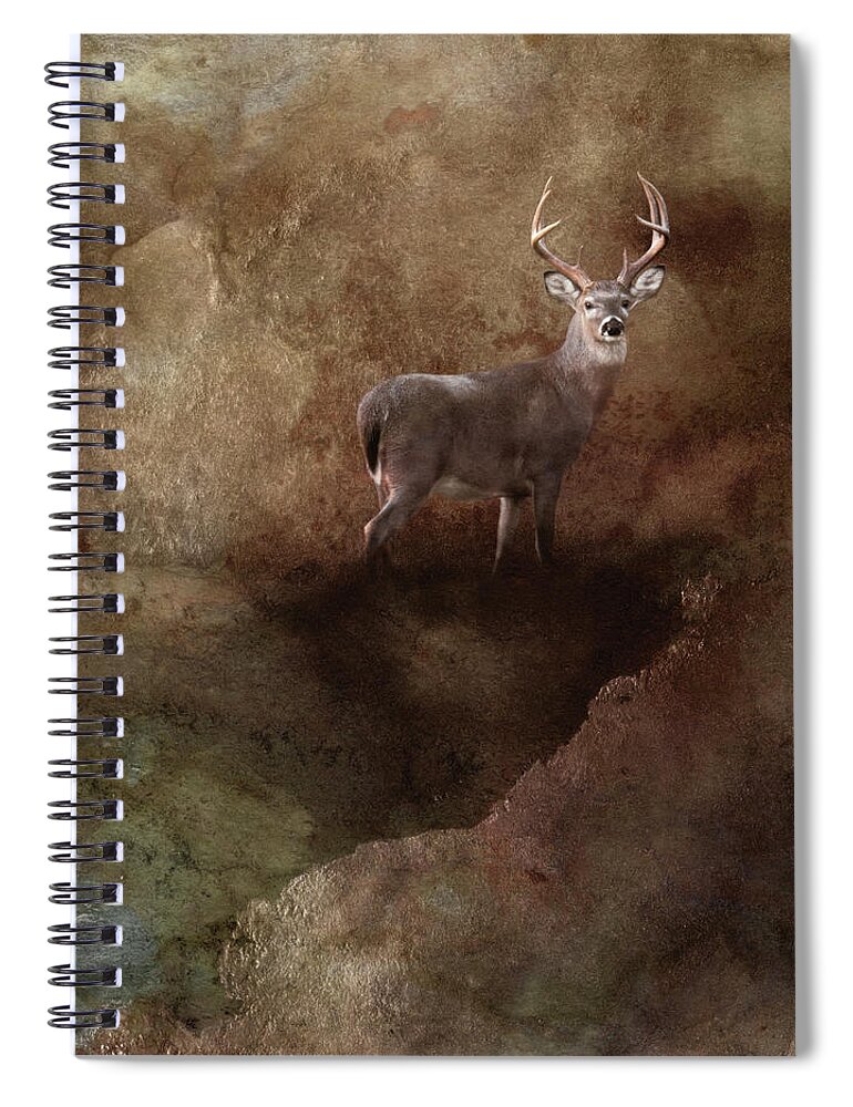 Deer Spiral Notebook featuring the photograph Natural Wonder by Jai Johnson