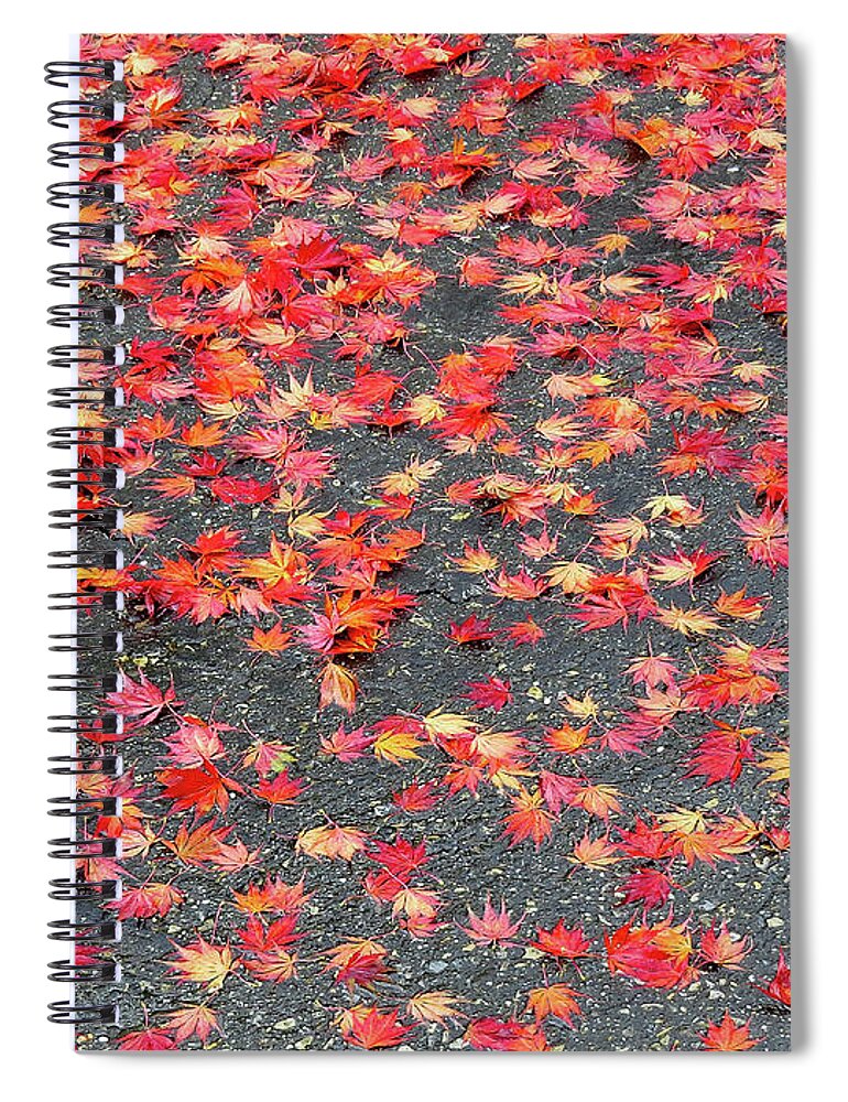 Autumn Spiral Notebook featuring the photograph Nature's Confetti by Linda Stern