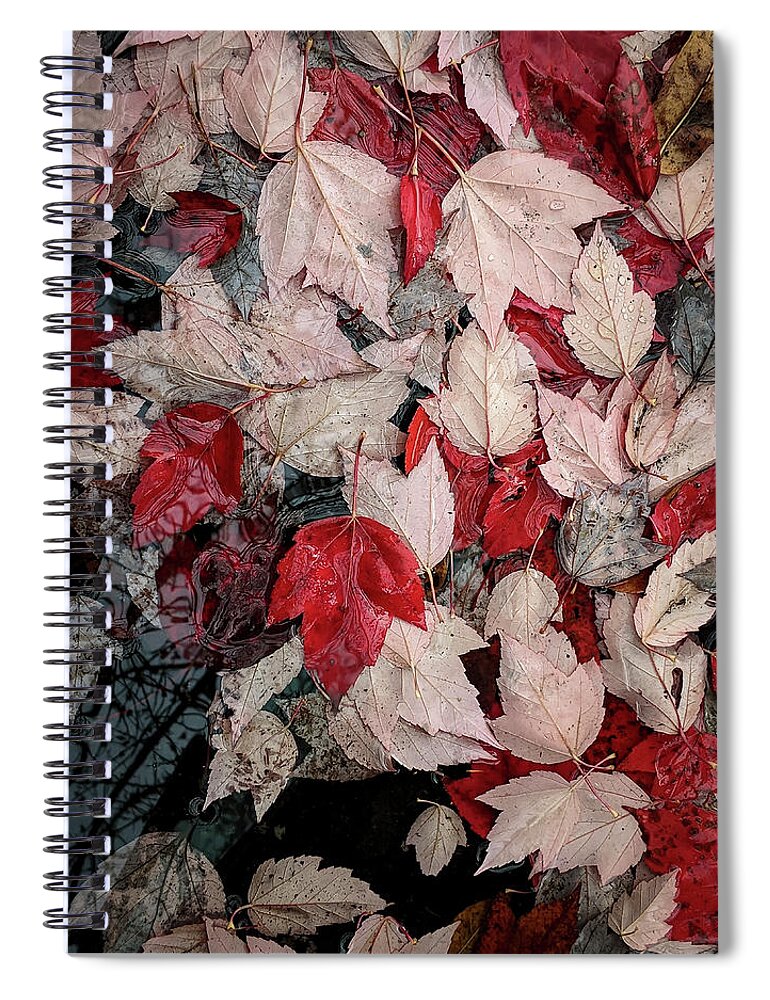 Fall Spiral Notebook featuring the photograph Natures Puzzle by Steven Clark