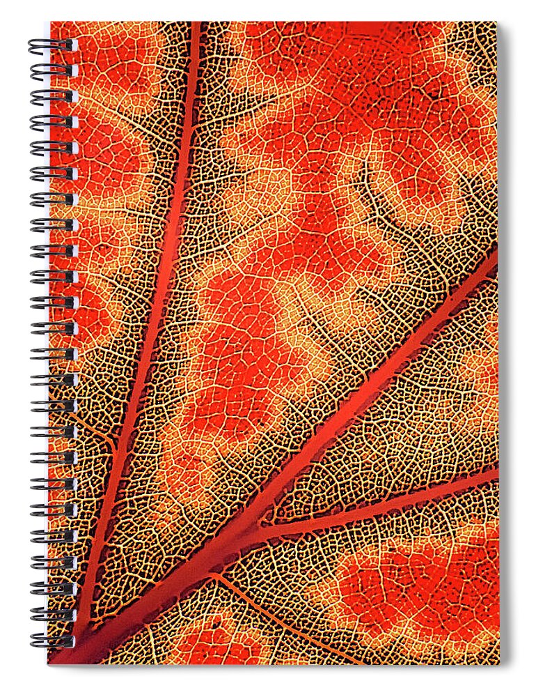 Fall Spiral Notebook featuring the digital art Nature's Road Map by Randall Dill