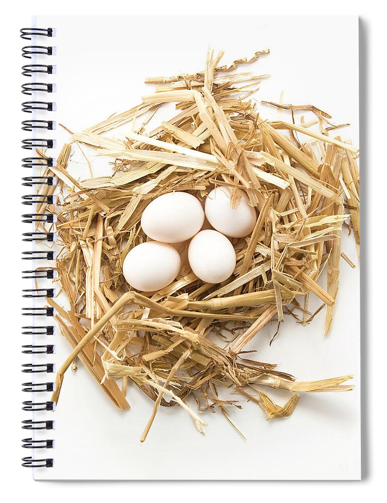 Egg Spiral Notebook featuring the photograph Nest with small white egg top view by Gregory DUBUS