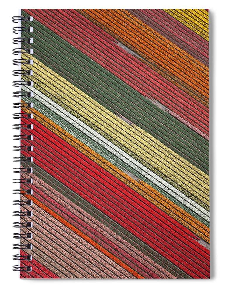 Flowerbed Spiral Notebook featuring the photograph Netherlands, Flowering Bulb Fields by Frans Lemmens