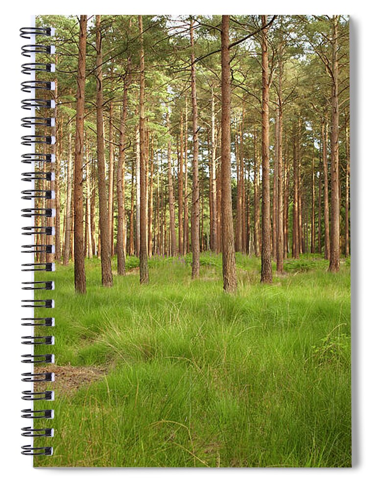 Scenics Spiral Notebook featuring the photograph New Forest 9 by Kelvin Murray