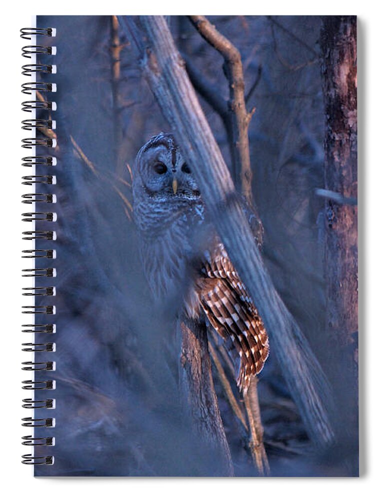 Nunweiler Spiral Notebook featuring the photograph Night Watchman by Nunweiler Photography
