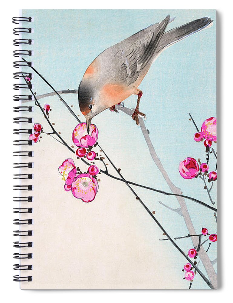 Koson Spiral Notebook featuring the painting Nightingale by Koson