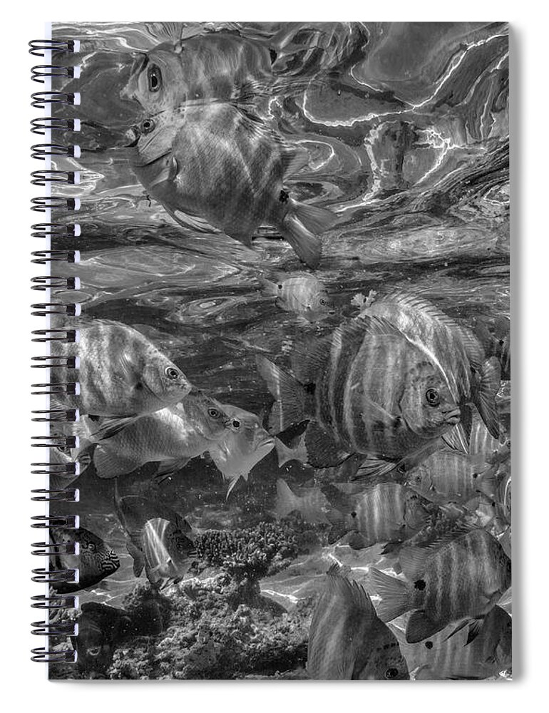 Disk1215 Spiral Notebook featuring the photograph Ningaloo Reef Underwater World by Tim Fitzharris