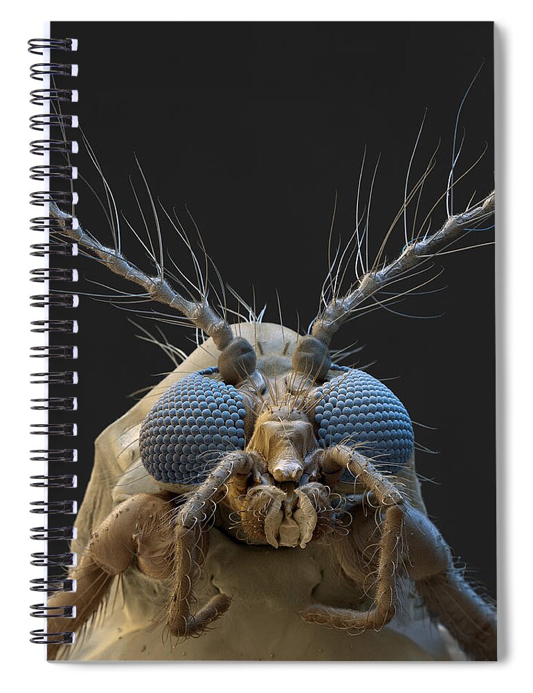 Animal Spiral Notebook featuring the photograph Nonbiting Midge, Chironomidae Sp., Sem by Meckes/ottawa