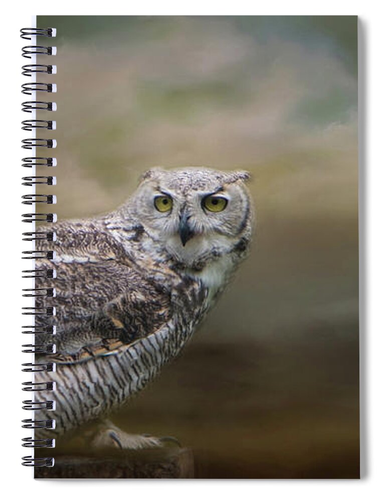 Owl Spiral Notebook featuring the photograph Owl Eyes by Marilyn Wilson