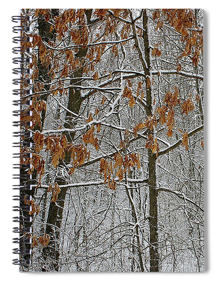 Oak Spiral Notebook featuring the photograph Oak in the Snow by Randy Pollard