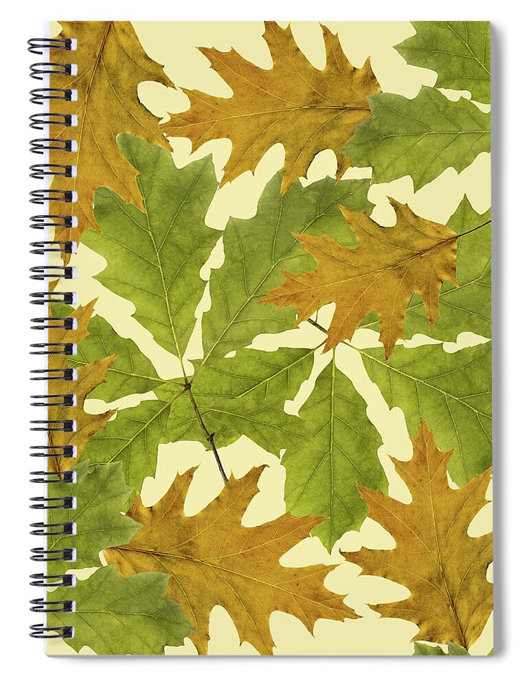 Fall Leaves Spiral Notebook featuring the mixed media Oak Leaves Pattern by Christina Rollo