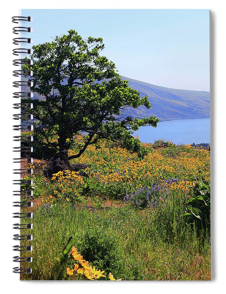Oak Tree Spiral Notebook featuring the photograph Oak Tree Above Columbia River by Jeanette French