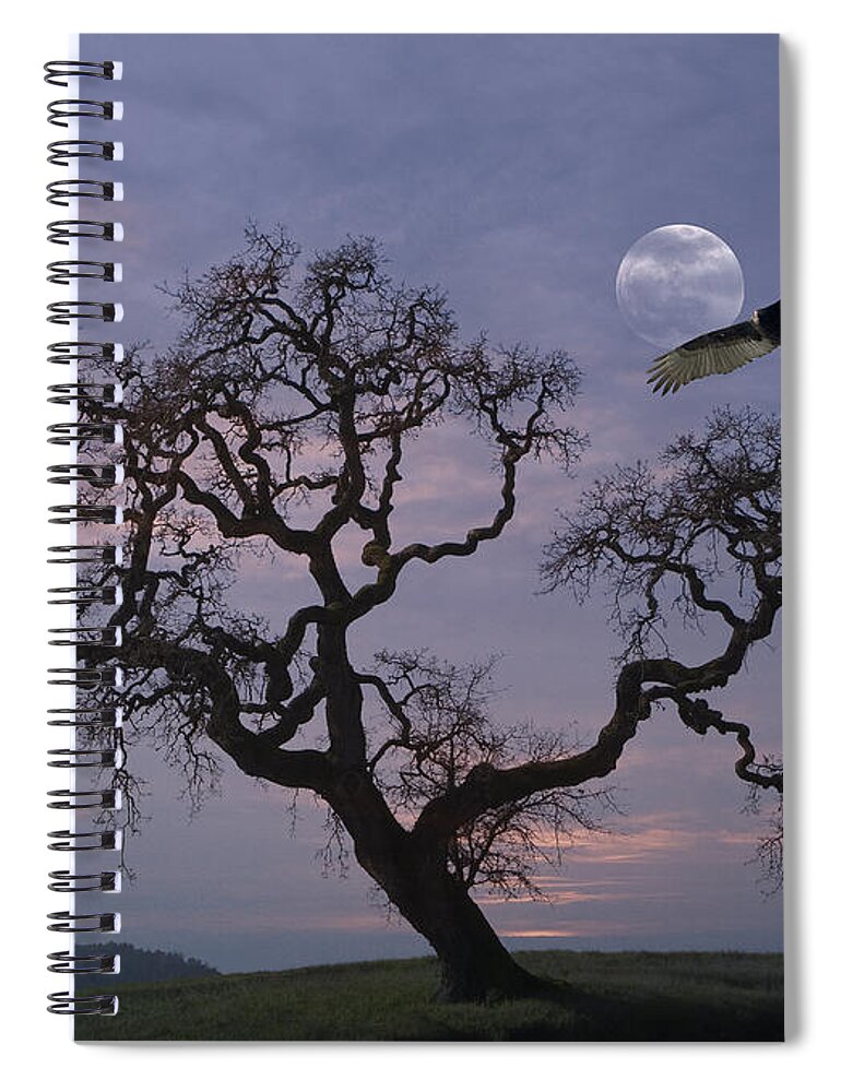 Tranquility Spiral Notebook featuring the photograph Oak Tree Silhouetted Against Cloudy by Diane Miller