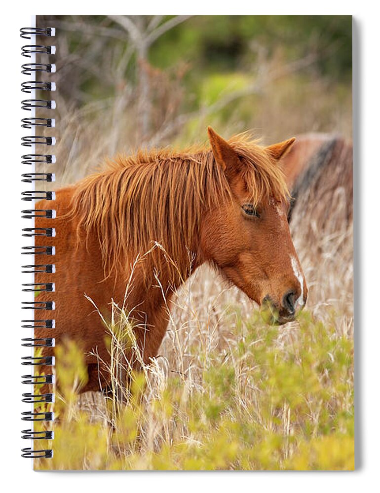 2019 Spiral Notebook featuring the photograph OBX Mare by Donna Twiford