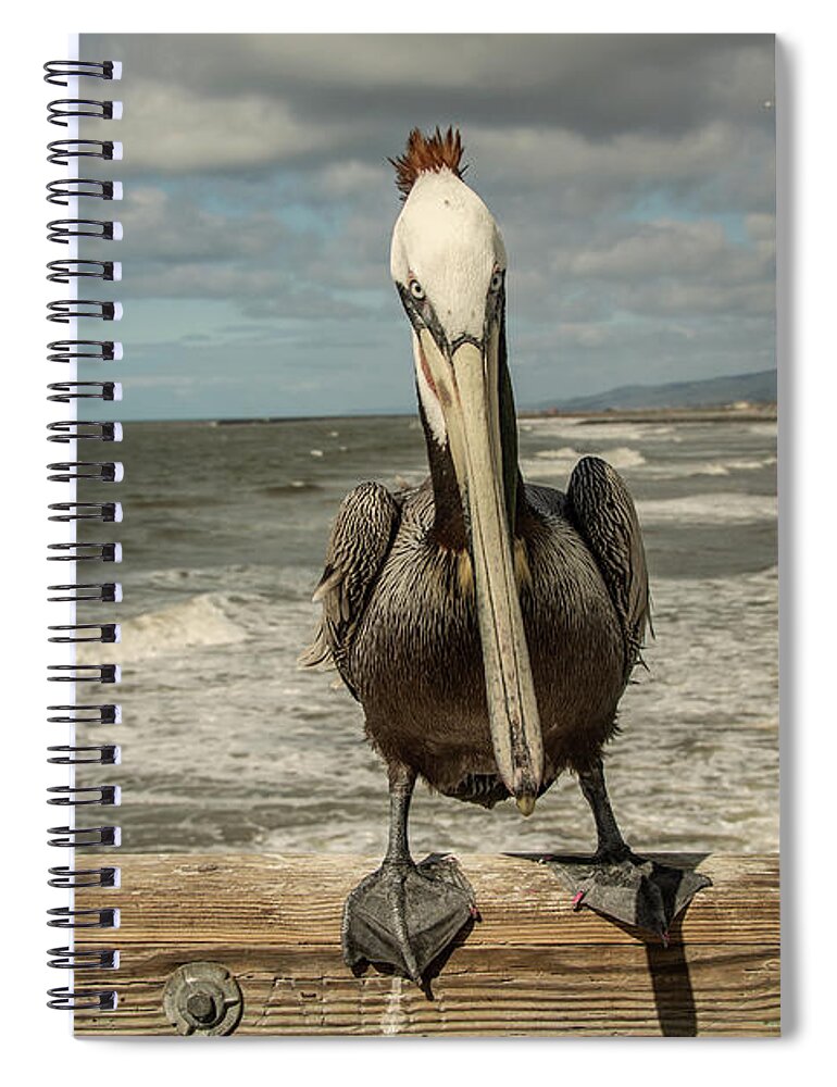 2019 Spiral Notebook featuring the photograph Oceanside Pier Peligan by Constance Puttkemery