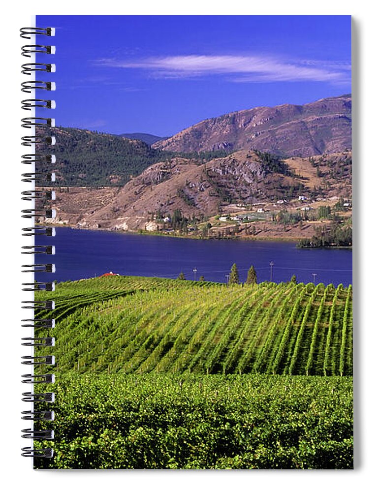 Scenics Spiral Notebook featuring the photograph Okanagan Valley Vineyard by Laughingmango